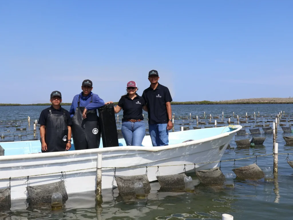Equipo de Oyster Mex en la granja marina de Bahía Magdalena