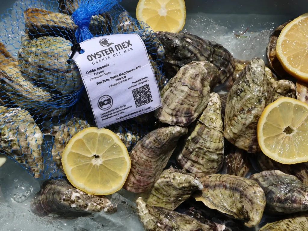 Ostiones Oyster Mex empacados con etiqueta de trazabilidad y código QR
