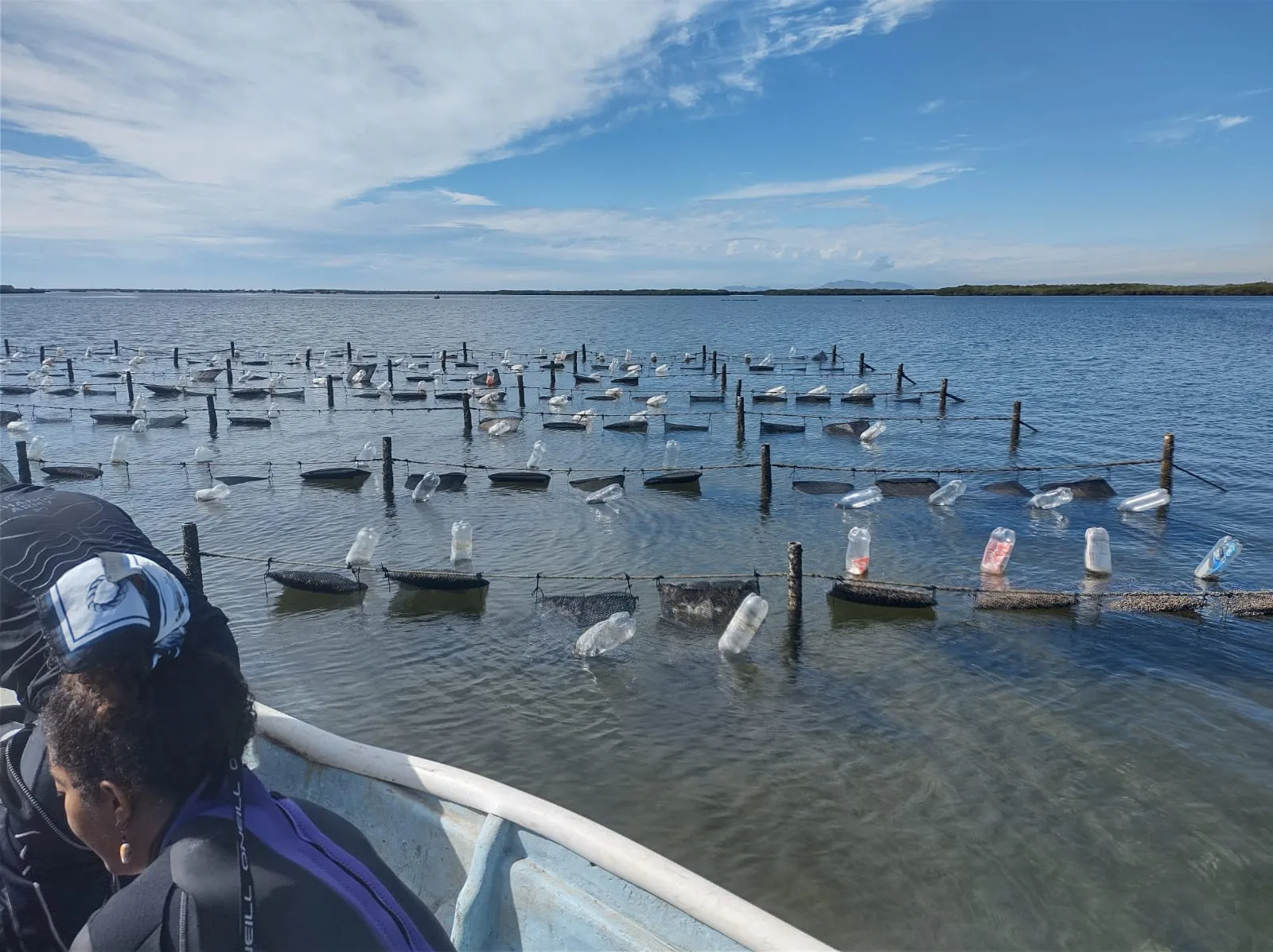 Oyster Mex - Granja del Mar